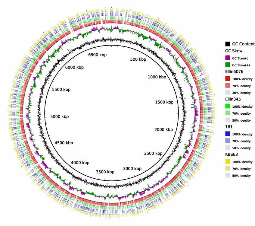 균주 IMCC19396 및 reference genome 간의 비교.