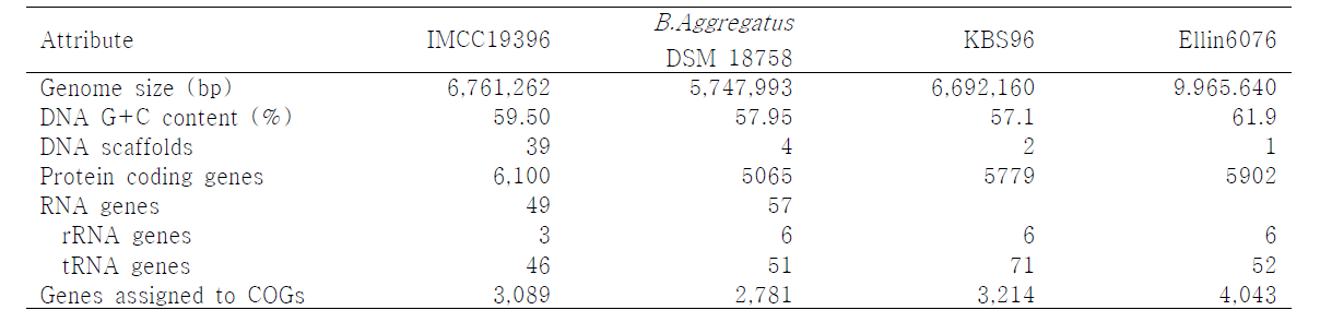 comparative genomics 분석에 사용된 reference genome들과 IMCC19396 genome 정보의 비교