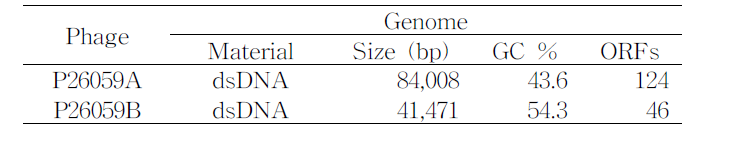 P26059A 와 P26059B의 유전체 분석 결과