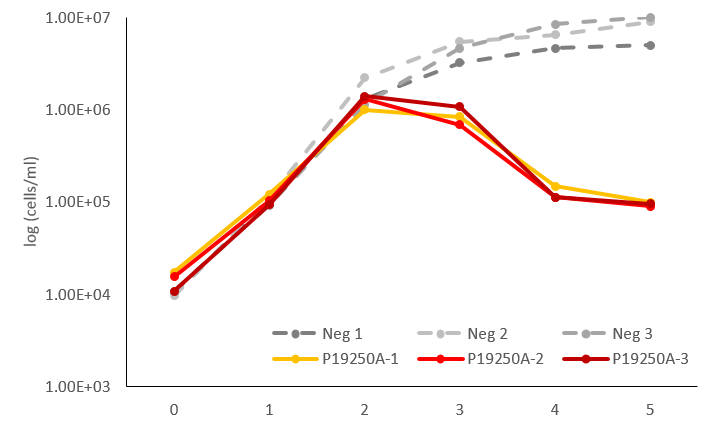 P19250A 감염 유무에 따른 IMCC19250 의 growth curve