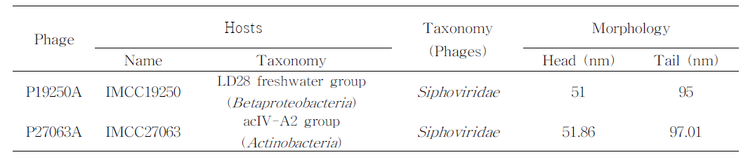 LNFM을 사용하여 분리한 박테리아파지