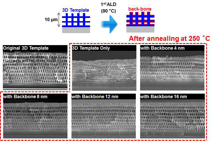 Back-bone의 두께에 따른 3차원 나노구조 템플릿의 열적안정성