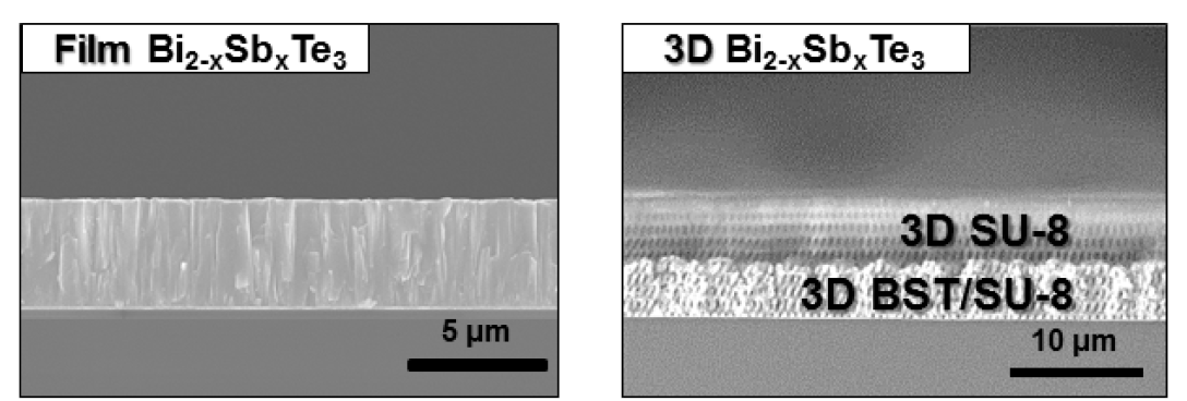 3차원 나노구조 Freestanding BST 열전소재 및 SEM Image