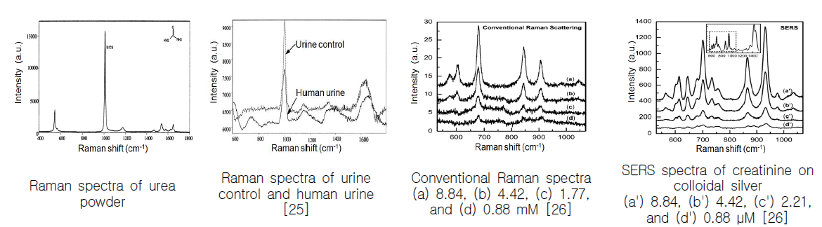 다양한 방법의 라만 측정 결과 그래프