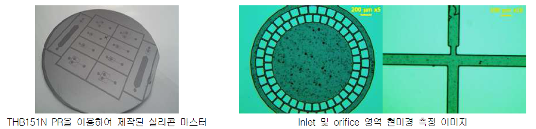 THB151N PR을 이용 실리콘 마스터 제작결과