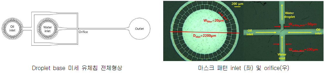 미세 유체칩 설계 도 및 포토 마스크 현미경 분석