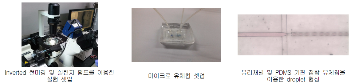 유리채널 및 PDMS 기판 접합 마이크로 유체칩을 이용한 droplet 형성시험