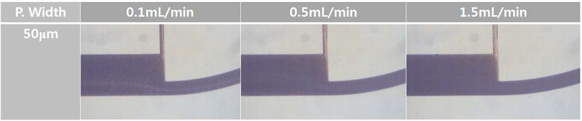 전혈을 이용한 PDMS 미세 유체 칩의 혈장분리 성능평가