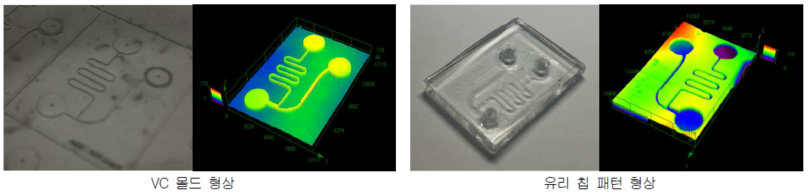 AC 미세 유체 칩 유리 성형 결과