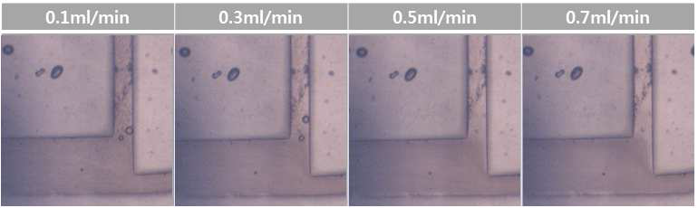 All glass micro-fluidic 칩을 이용한 유량 속도별 혈장분리 성능평가