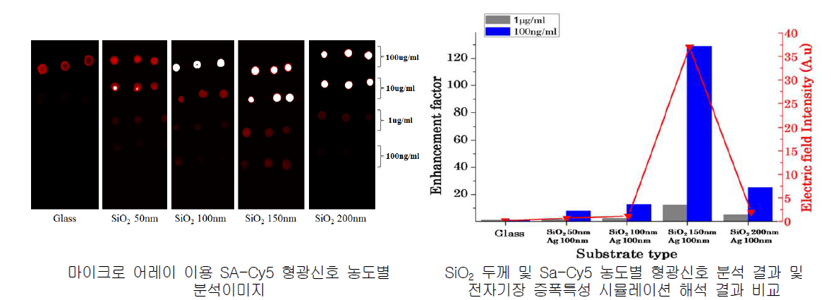 SiO2 증착 두께별 형광신호 증폭특성 분석결과 및 전자기장 증폭특성 해석결과