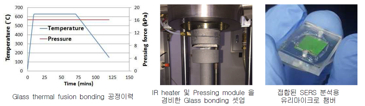 Glass thermal fusion bonding 공정을 통한 SERS 분석용 유리 마이크로 챔버 제작