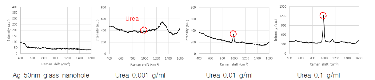 유리 나노 홀 어레이 Ag 50nm 증착 기판상 urea 농도별 Raman 신호분석