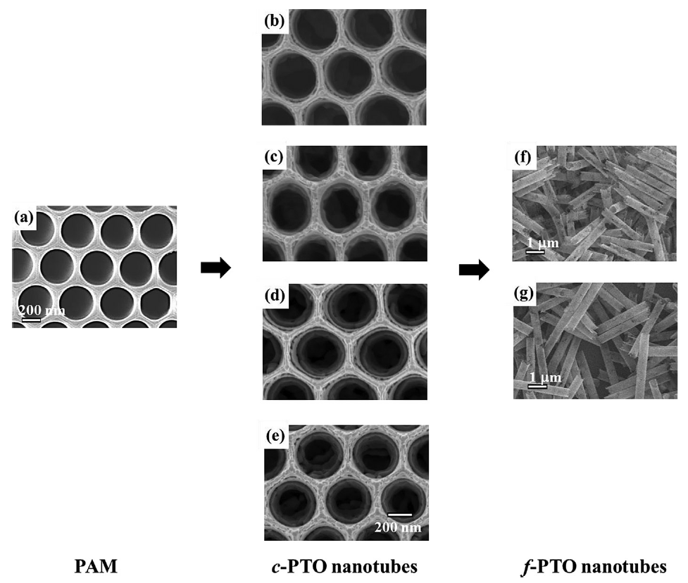 PTO nanotube의 SEM 사진. (Left) Porous alumina membrane (PAM) (Middle) PAM 안에 형성된 PTO 나노튜브 (Right) PAM을 제거한 PTO nanotube.