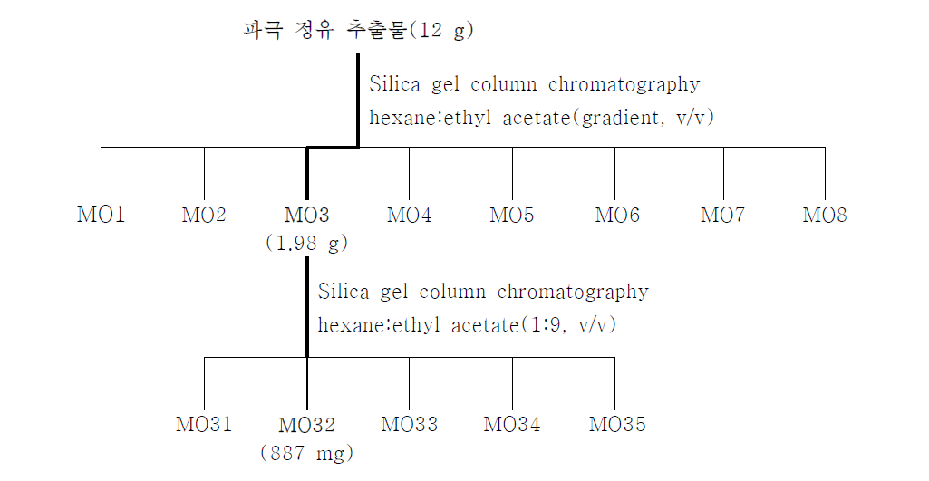 Silica gel column chromatography에 의한 활성물질 분리?정제 과정