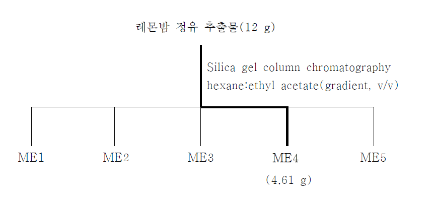 Silica gel column chromatography에 의한 활성물질 분리 정제 과정