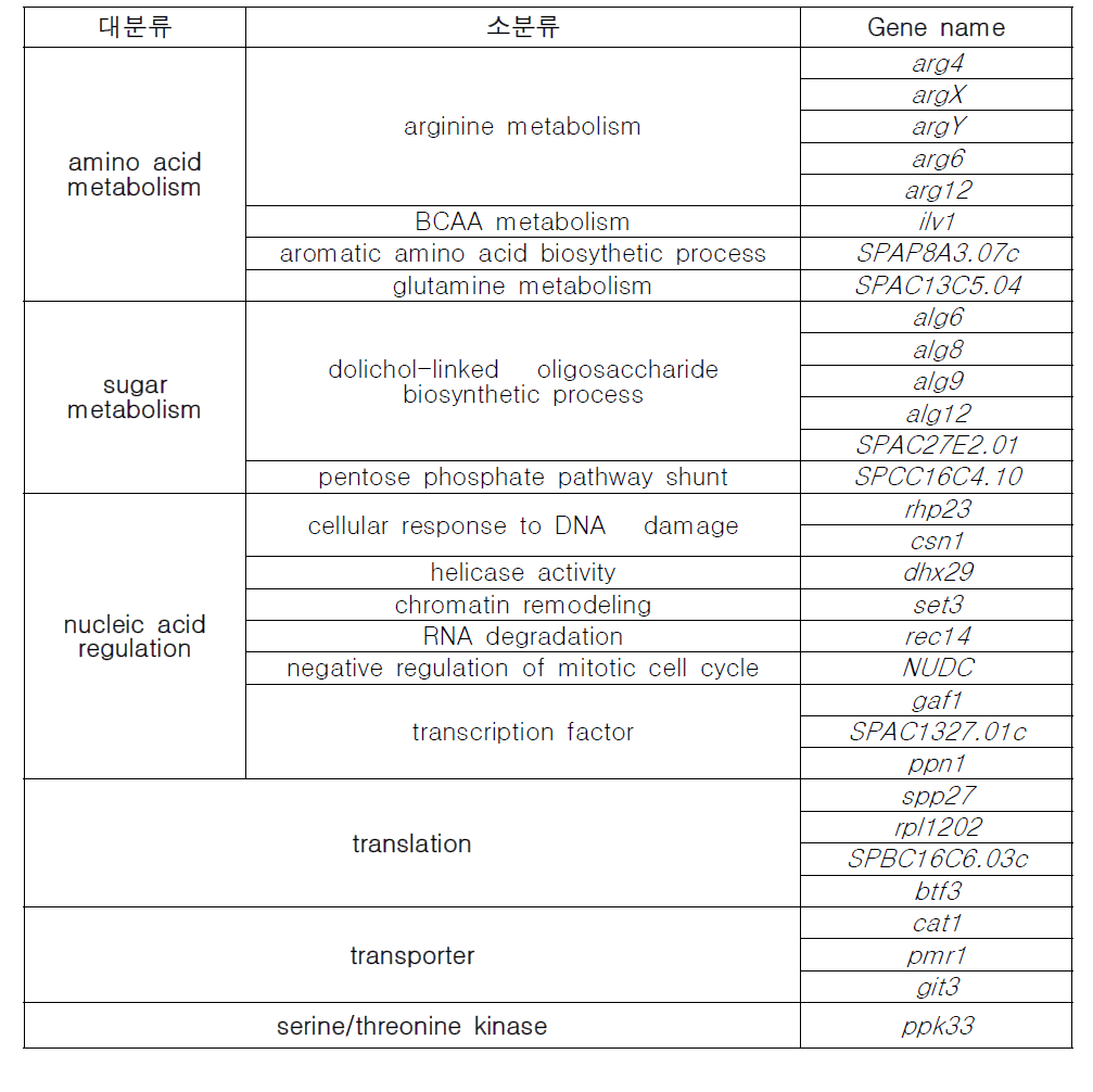 장수 검증된 균주 32종의 GO 분석 결과 요약표