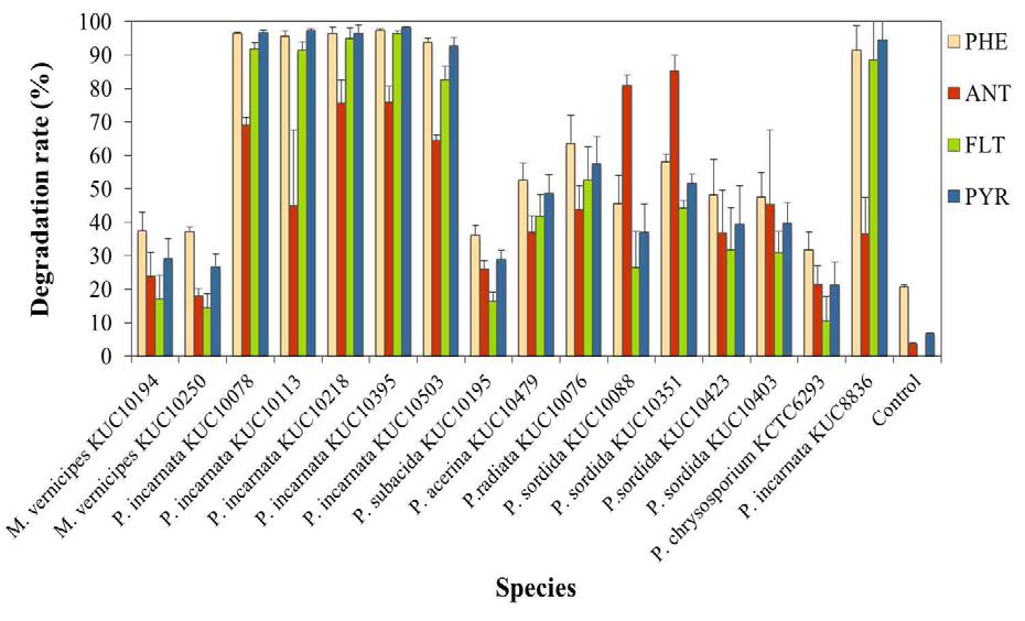 Biodegradation rates of PAHs by selected fungi (Phe, phenanthrene; ANT, anthracene; FLT, fluoranthene;PYR, pyrene).