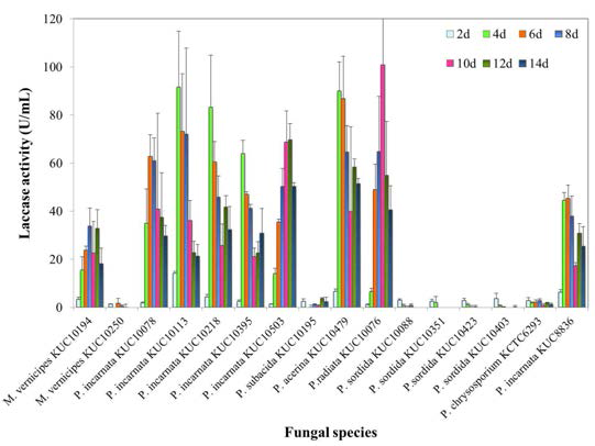 Laccase activity during degradation of PAHs by selected fungi.