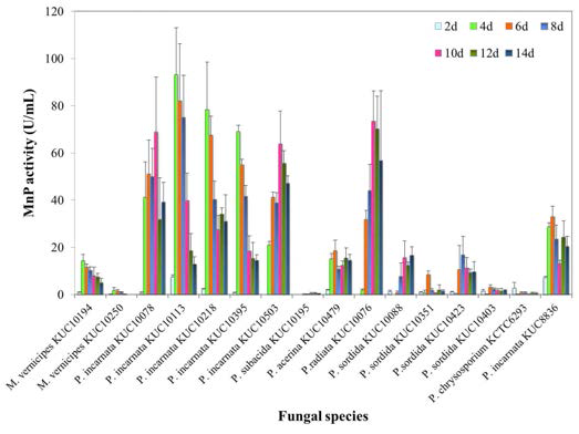 MnP activity during degradation of PAHs by selected fungi.