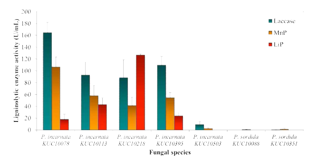 Ligninolytic enzyme activities during the degradation of pyrene by selected fungi.