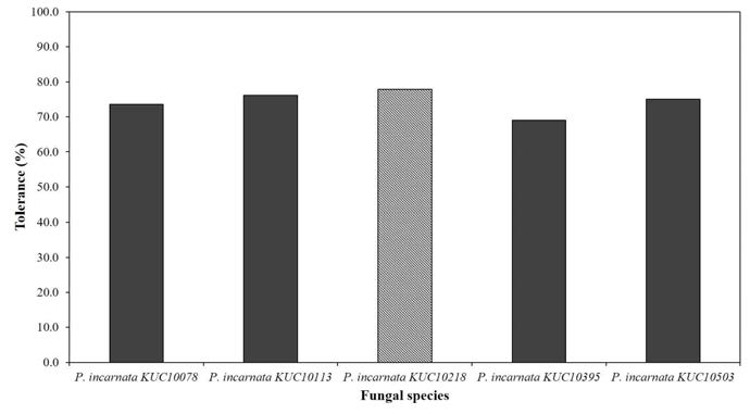 Tolerance test of selected fungal species against pyrene.