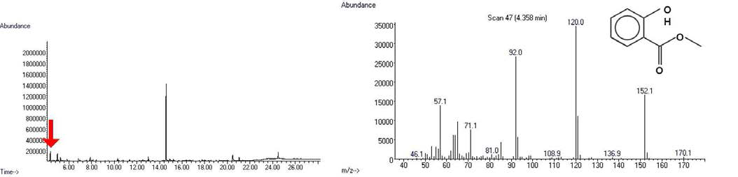 Mass spectral profiles of pyrene metabolite, benzoic acid, 2-hydroxy-, methyl ester.