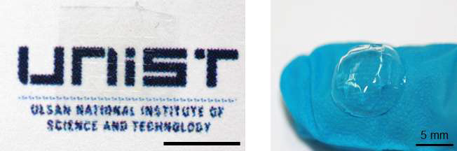 하이브리드 기판의 투명도(왼쪽)와 기판을 부착한 소프트 렌즈(오른쪽)