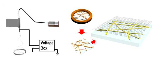 Metal nantrough-그래핀 하이브리드 전극 제작 기술