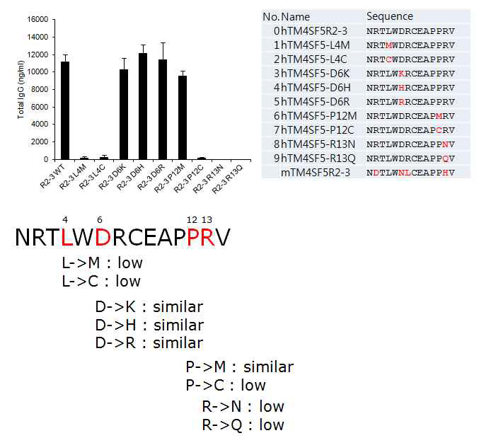 TM4SF5의 hTM4SF5R2-3 에피톱 서열들의 아미노산 치환이 항체 생산에 미치는 영향 분석.