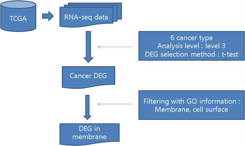 암의 biomarker 분석의 overview