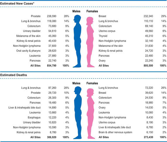 2013년 미국에서의 상위 암종의 신규 암 환자수 및 사망률 예측