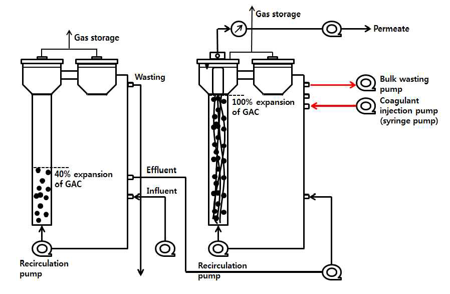 AFBR + AFMBR + coagulation process 모식도