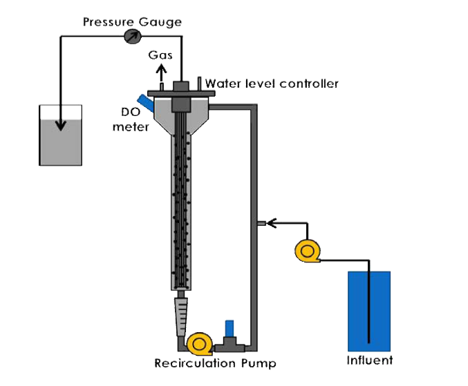 ANAMMOX + AFMBR 결합공정의 모식도