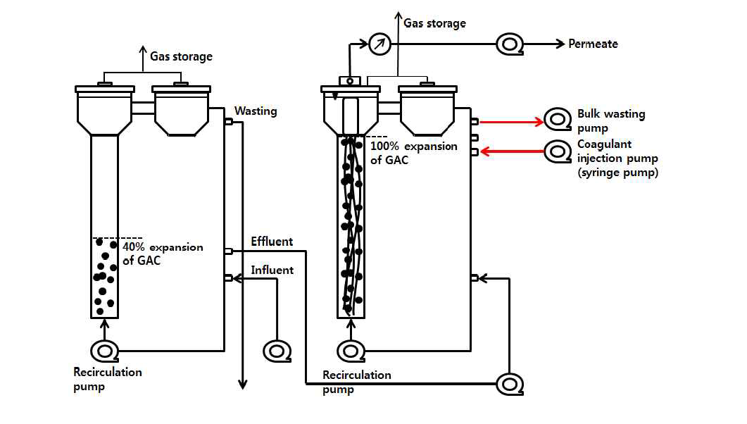 AFBR + AFMBR + coagulation process 모식도