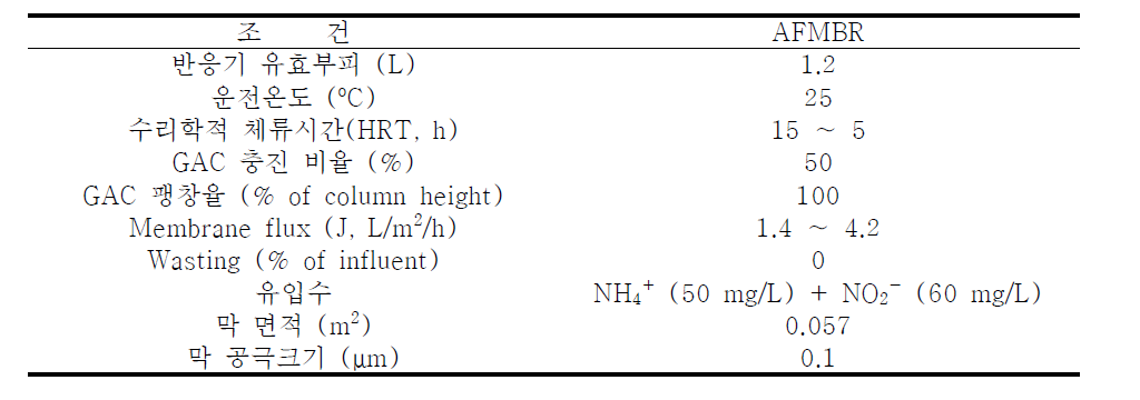 ANAMMOX-FMBR 제원 및 운전 조건