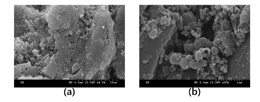 ANAMMOX-FMBR GAC SEM 사진 ((a) : GAC 표면 그리고 (b) : GAC 공극)