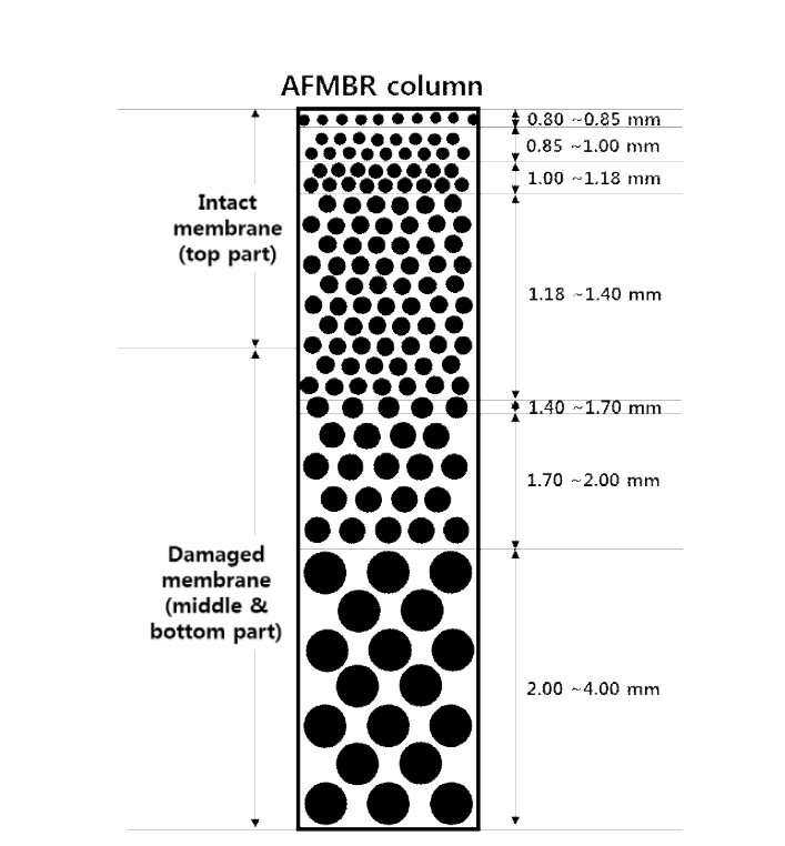 2년 이상 운전된 파일럿 규모 AFMBR에서 membrane 손상부분 및 GAC의 크기 분포