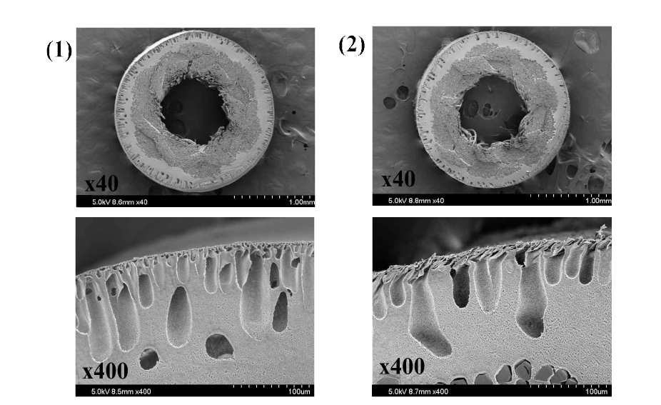 (1) 작은크기 GAC (0.8 ~ 1.0 mm)를 여재로 사용한 경우 7 일간 운전결과, (2) 큰 크기 GAC (2.0 ~ 4.0 mm)를 1일간 사용한 경우 표면의 손상차이