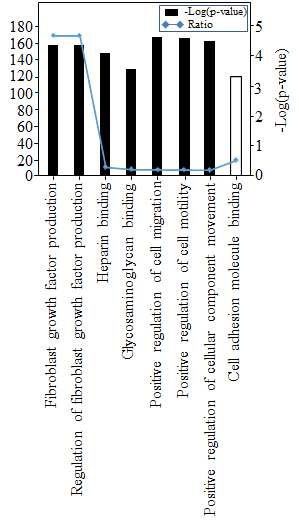 상위 8개 gene ontology