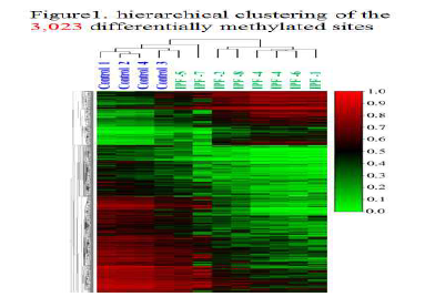 Mathylation heat map