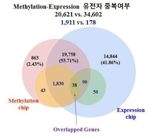 Methylation chip 과 Expression chip 중복성 검증