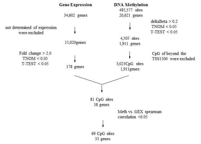 Flow chart describing workflow of DNA methylation and gene expression analyses.