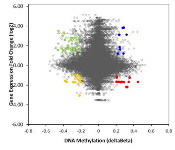 Global transcriptome methylation vs. expression chip 의 Scatter plot