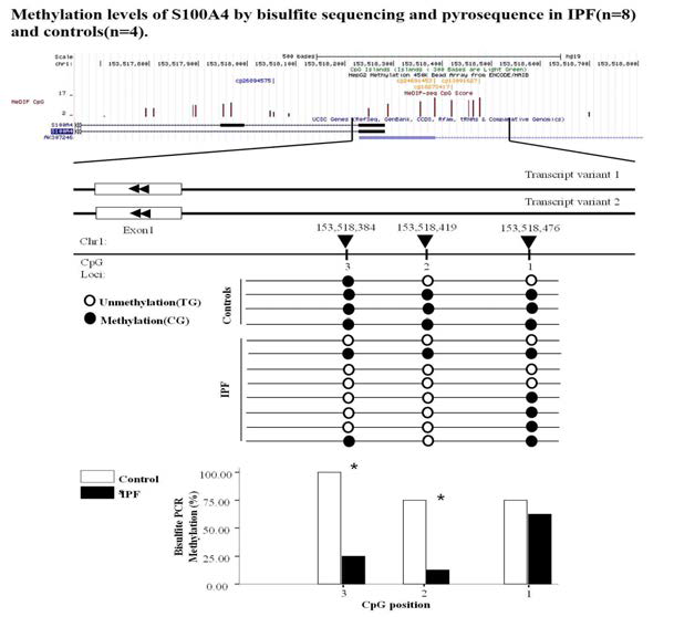 S100A4 methylation level