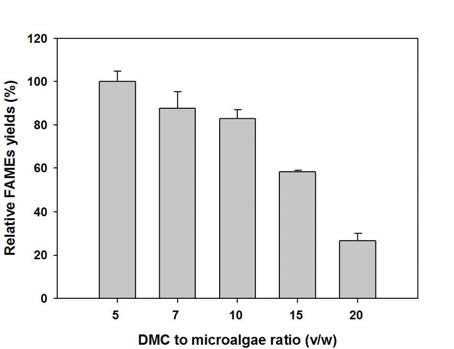 In situ esterification 반응에서 FAMEs 합성에 미치는 DMC의 비율의 영향