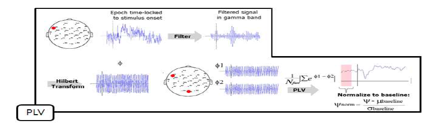 뇌 신호 분석을 위한 phase locking value 알고리즘