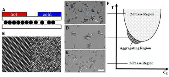 온도구배를 이용하여 나노입자를 조립하는 개략도와 결과