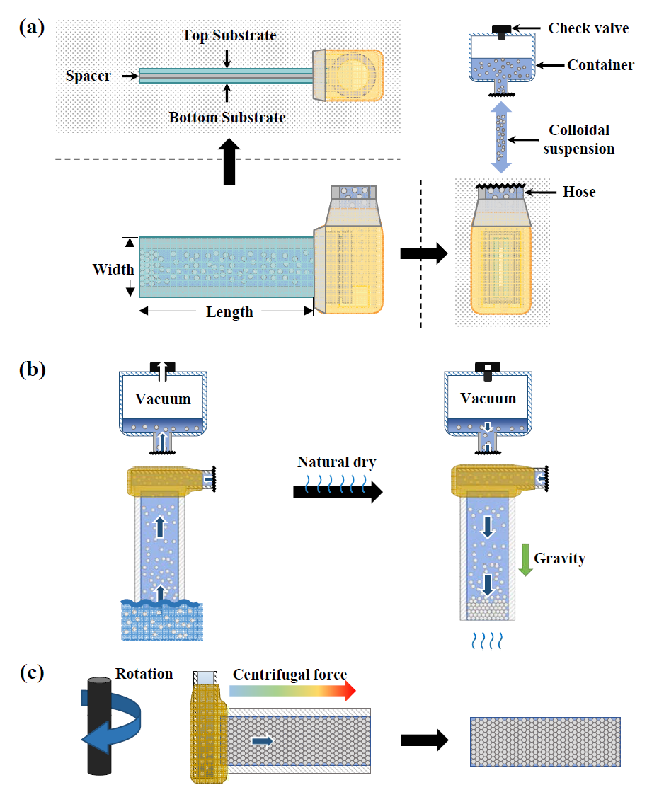 Fabrication procedures of opal film using a rotating self-assembly technique