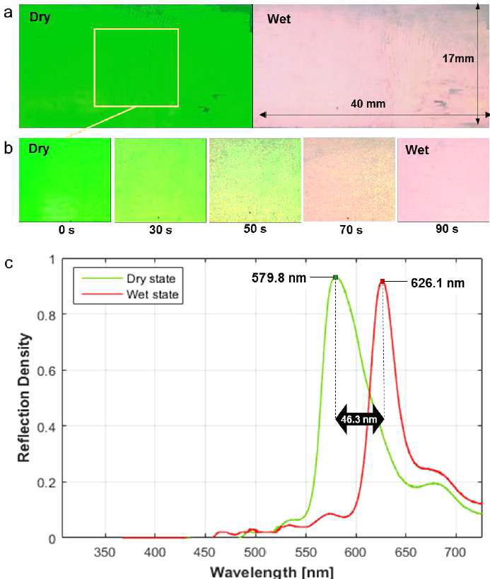 Photographs and optical features of the fabricated film exposed to water vapour.